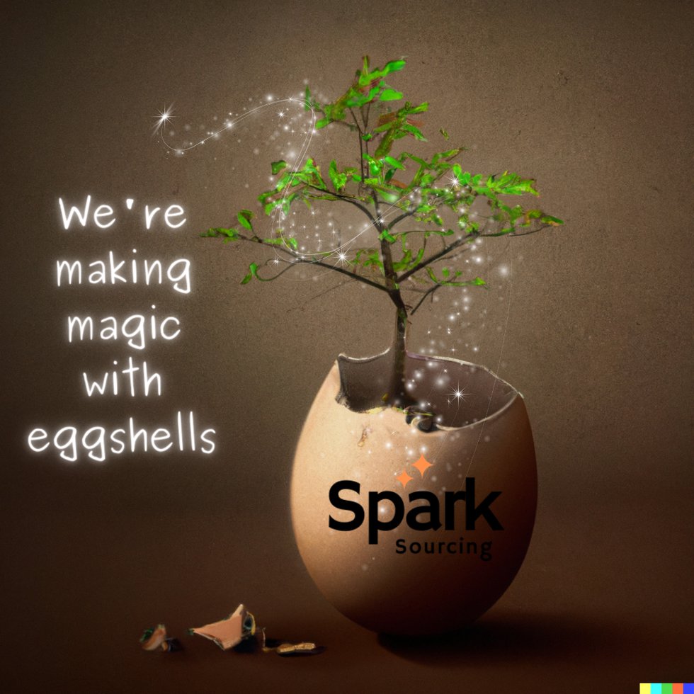 We're making magic with eggshells - 1