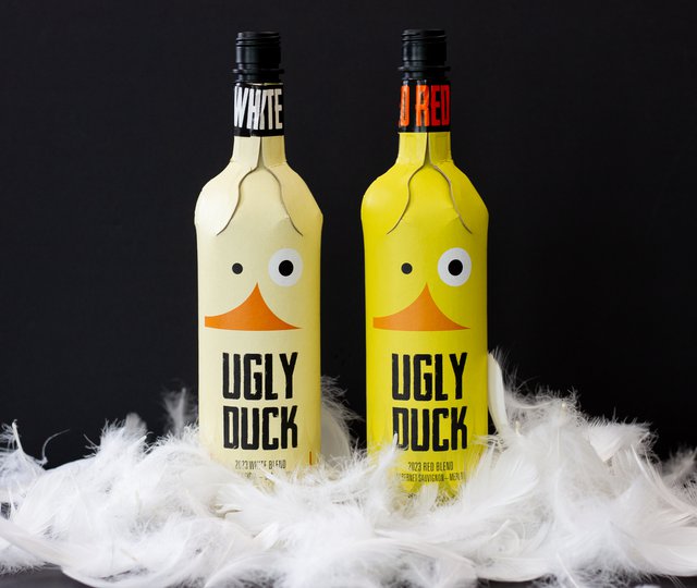 ugly duck - feathers.jpg